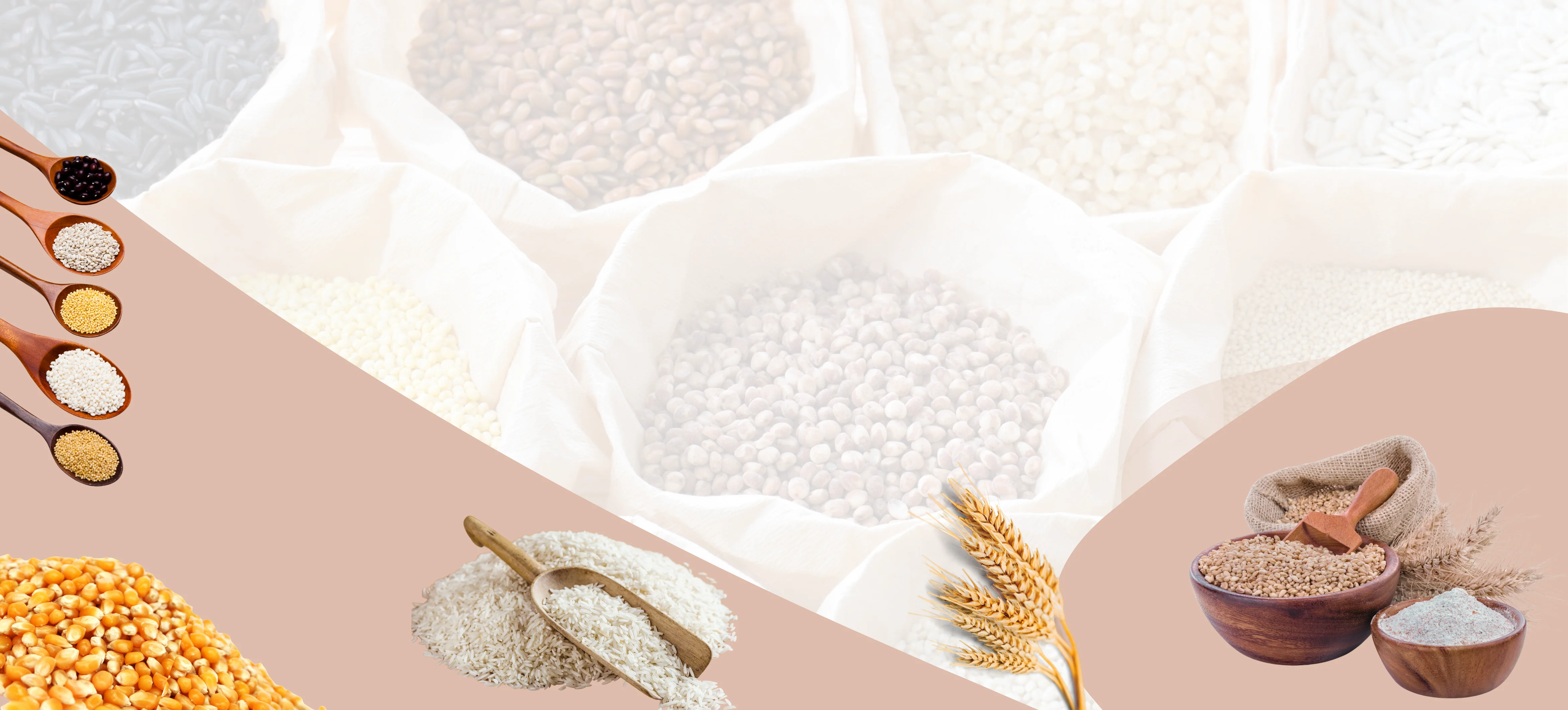 Varni Exports - Premium Indian Spices & Food Products Exports